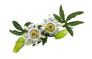 Health Benefits of Passion Flower